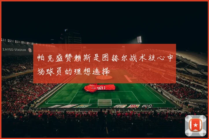 帕克盛赞赖斯是图赫尔战术核心中场球员的理想选择
